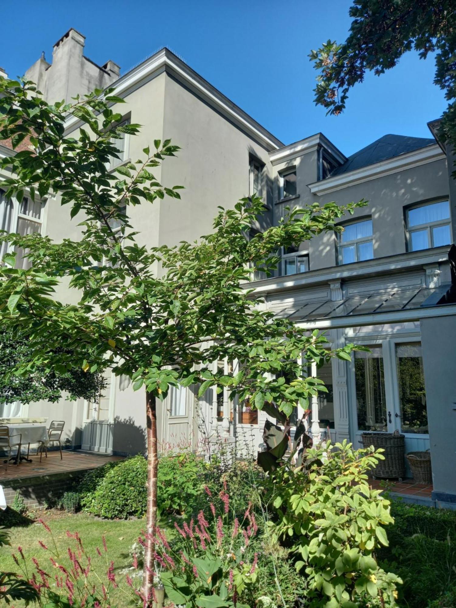 Huis Dujardin Bed&Breakfast Amberes Exterior foto