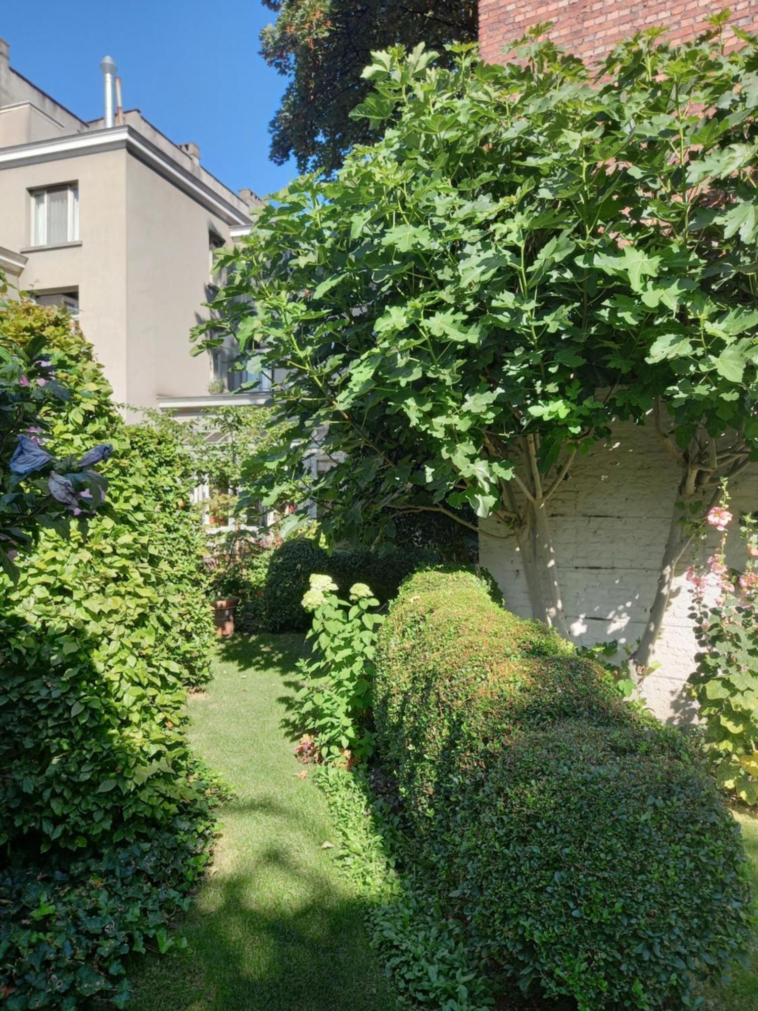 Huis Dujardin Bed&Breakfast Amberes Exterior foto