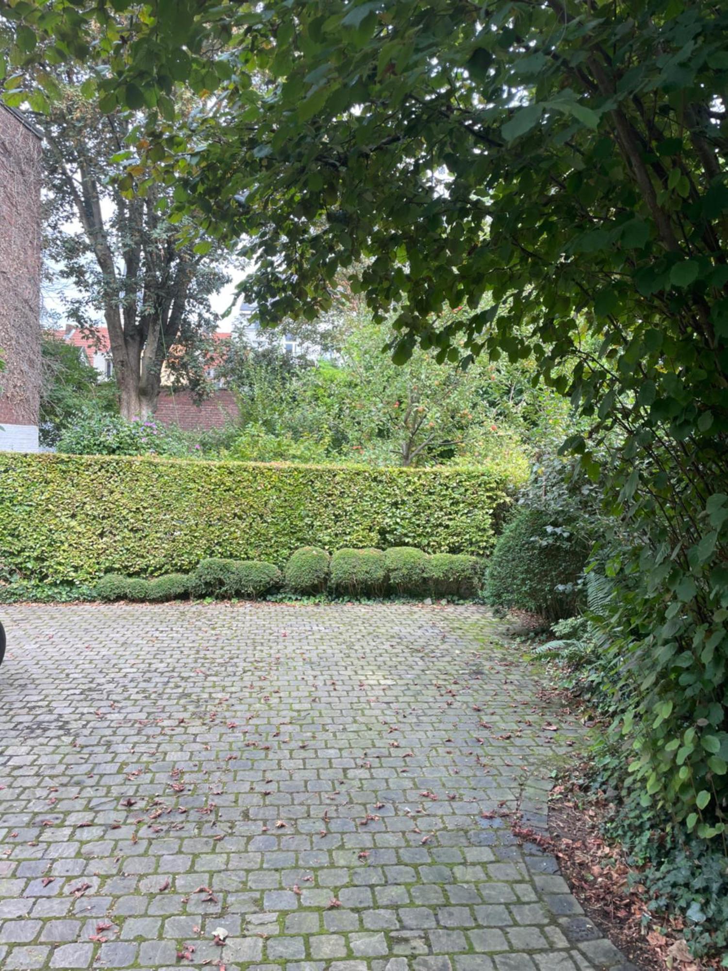 Huis Dujardin Bed&Breakfast Amberes Exterior foto