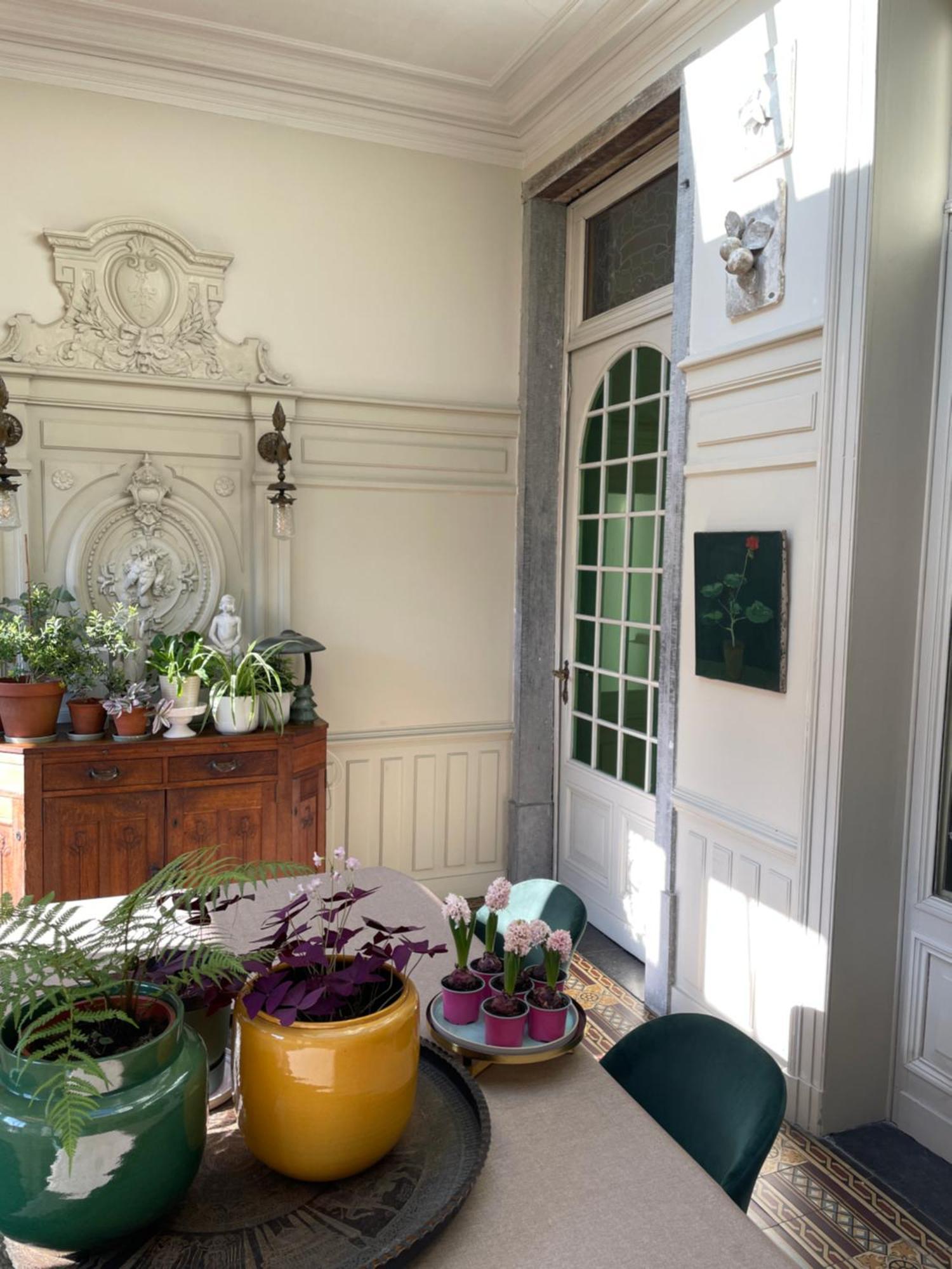 Huis Dujardin Bed&Breakfast Amberes Exterior foto
